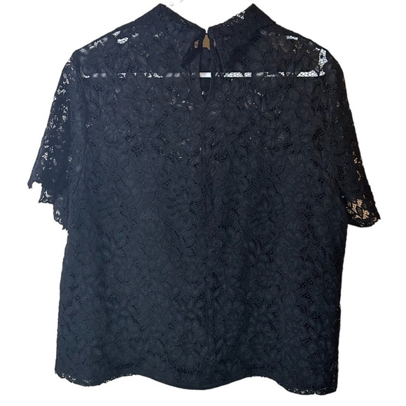 NEW Black Lace blouse High Mock Neck Lined Short sleeve Women’s Sz XL - Picture 5 of 9
